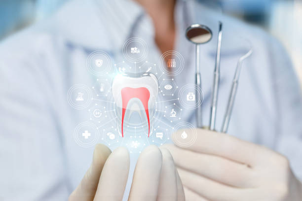 Tusculum, TN Holistic Dental Care Services Company